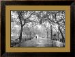 Poet's Walk, Central Park, New York City by Henri Silberman Limited Edition Pricing Art Print