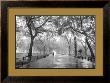 Poet's Walk, Central Park, New York City by Henri Silberman Limited Edition Print