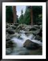 Yosemite Creek, Yosemite National Park, California, Usa by Curtis Martin Limited Edition Pricing Art Print