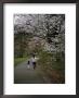 Mother And Child Walking Through Park by Peter Johansky Limited Edition Print