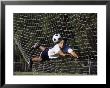 Goaltender In Action by Phil Kember Limited Edition Pricing Art Print