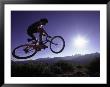 Man On Mountain Bike In Mid-Air by Mark Thayer Limited Edition Pricing Art Print