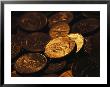 A Close View Of American Coins by Joel Sartore Limited Edition Pricing Art Print