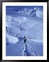 Mountain Climbing On Denali, Alaska, Usa by Lee Kopfler Limited Edition Print