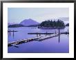 Tofino, Vancouver Island, British Columbia (B.C.), Canada, North America by Rob Cousins Limited Edition Print