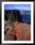 Dolerite Coastal Cliffs Of Cape Pillar, Tasman National Park, Tasmania, Australia by Grant Dixon Limited Edition Pricing Art Print