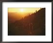 Sunset Over Tucson Mountain State Park by William Allen Limited Edition Print