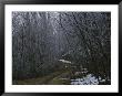 A Winter View Of A Trail In Shenandoah National Park by George F. Mobley Limited Edition Print