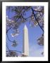 Washington Monument, Washington D.C. by Mark Gibson Limited Edition Print