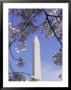 Washington Monument, Washington D.C. by Mark Gibson Limited Edition Pricing Art Print