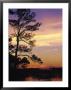 Cotton Bayou At Sunset by Jeff Greenberg Limited Edition Print