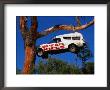 Car Hanging On Tree, Safety Message On Old Coast Road In South-West, Australia by Wayne Walton Limited Edition Print