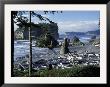 Ruby Beach, Olympic National Park, Washington, Usa by William Sutton Limited Edition Print