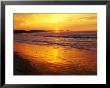 Sunrise Near Thurra River, Croajingolong National Park, Australia by Paul Sinclair Limited Edition Pricing Art Print