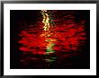 Light Reflected In The Water At Night by Raymond Gehman Limited Edition Print