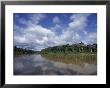 The Itui River, Remote Tributary Of The Amazon, Rimmed By Rain Forest by Stephen St. John Limited Edition Print