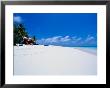 Businessman On Beach, Maldives by Stuart Westmoreland Limited Edition Print