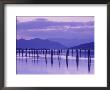 Pilings Reflecting In Calm Water, Pend Oreille River, Washington, Usa by Jamie & Judy Wild Limited Edition Print