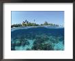 Split-Level Shot Of Coral Reef And Shore, Phillippines by Jurgen Freund Limited Edition Print
