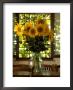 Vase Of Sunflowers In Restaurant In Tuscany, Italy by Shaffer & Smith Limited Edition Pricing Art Print