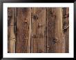 Wood-Paneled Wall by David Boyer Limited Edition Pricing Art Print
