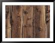 Wood-Paneled Wall by David Boyer Limited Edition Print