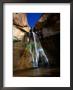 Lower Calf Creek Falls In Grand Staircase - Escalante National Monument, Utah by Mark Newman Limited Edition Print