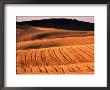 Harvested Wheat Fields, Palouse Region, Palouse, Usa by Nicholas Pavloff Limited Edition Print