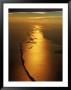 Fire Island, National Recreation Area by Bruce Clarke Limited Edition Print