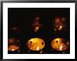 Votives Burn In A Darkened Church In Santa Fe by Raul Touzon Limited Edition Print