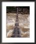 People Crossing Suspension Bridge Over Rapids Of Ballem River, Bailum Gorge, Irian Jaya, Indonesia by Karl Lehmann Limited Edition Print