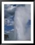 Splendid Geyser, Daisy Geyser Group, Yellowstone National Park by Norbert Rosing Limited Edition Print