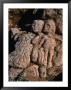 Ancient Rock Carvings Of People And Animals At Slonta, Al Jabal Al Akhdar, Libya by Doug Mckinlay Limited Edition Print