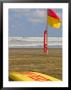 Life Guard Board With Flag, Karekare Beach by Tomas Del Amo Limited Edition Print