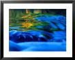 Reflections In Fall, Canton Creek Near North Umpquah, Oregon, Usa by Janell Davidson Limited Edition Print