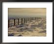 Wire Fence In A Winter Landscape by Bobby Model Limited Edition Pricing Art Print