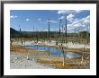 Opalescent Pool, Black Sand Basin, Yellowstone National Park by Norbert Rosing Limited Edition Print