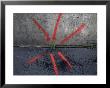 Neon Paint Points To A Plant Emerging From A Crack In The Sidewalk by Cotton Coulson Limited Edition Pricing Art Print