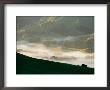 Misty Farmland Near Martinborough, Wairarapa, North Island, New Zealand by David Wall Limited Edition Print