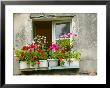 Window In Old Town, Istria, Croatia by Russell Young Limited Edition Print