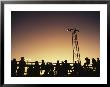 Silhouetted Crowd Watchs A Rodeo by Stephen Alvarez Limited Edition Pricing Art Print