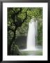 Waterfall In A Woodland Setting by Tim Laman Limited Edition Pricing Art Print