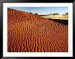 Sand Dune Ripples In Namib Nauklaft National Park, Namib Desert Park, Namibia by Christer Fredriksson Limited Edition Print