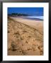 Papohaku Beach On West End, Molokai, Hawaii, Usa by Karl Lehmann Limited Edition Print