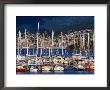 Yachts Moored At Bellerive Marina, Tasmania, Australia by Grant Dixon Limited Edition Print