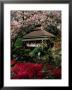 Japanese Tea Garden, San Francisco, California, Usa by Roberto Gerometta Limited Edition Print