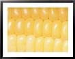 A Close View Of Rows Of Corn Kernels by Brian Gordon Green Limited Edition Print