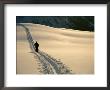 Ski Touring In The Purcell Mountains by Bill Hatcher Limited Edition Print