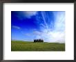 Poppies In A Wheatfield And Cypress Trees Against A Huge Sky by Raul Touzon Limited Edition Pricing Art Print