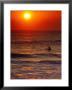 Surfer At Sunrise, Fl by Jeff Greenberg Limited Edition Print